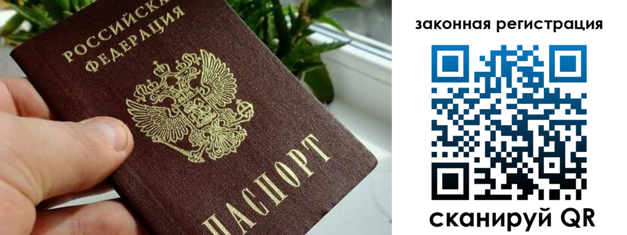 прописка гарантия в Шагонаре